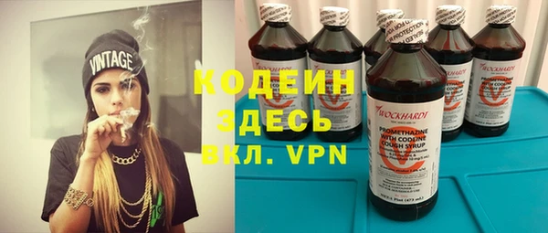 прущие грибы Балахна
