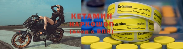 ПСИЛОЦИБИНОВЫЕ ГРИБЫ Тайга