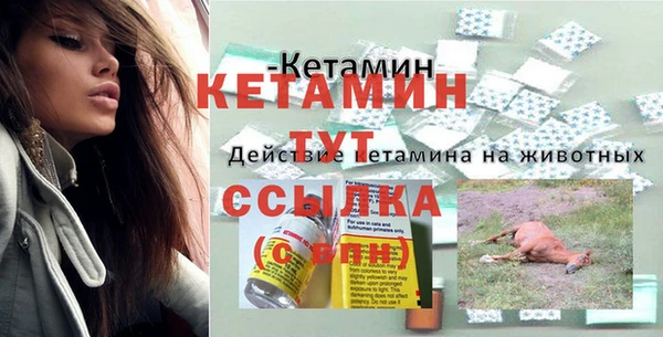 прущие грибы Балахна